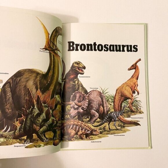Vintage Brontosaurus by Angela Sheehan and Colin Newman Rourke Publishing - Picture 10 of 14